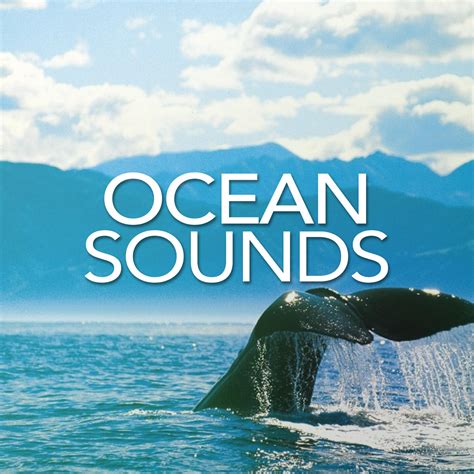 Beach Sounds Download. Free SFX library for your projects. Free sounds effects for Youtube videos. MP3 320 kbps (zip) Length: 2:45 min. File size: 6.63 MB. License: Attribution 4.0 International (CC BY 4.0). You are allowed to use sound effects free of charge and royalty free in your multimedia projects for commercial or non-commercial …